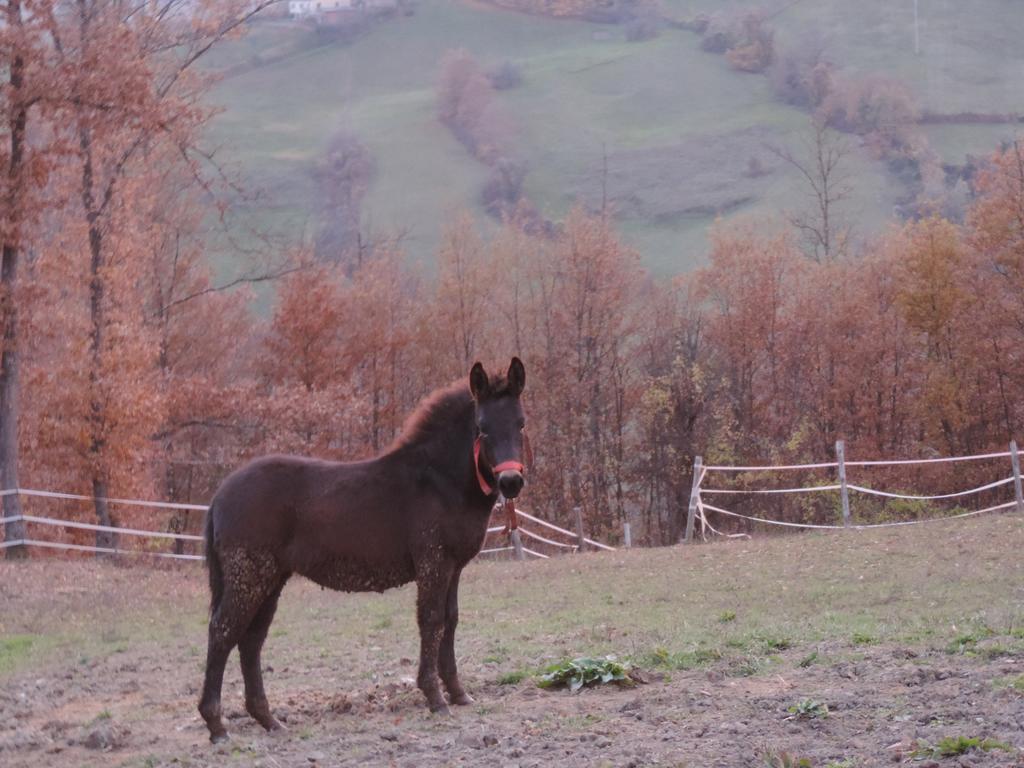 Società Agricola Cacigolara Borgo Val di Taro Exterior foto
