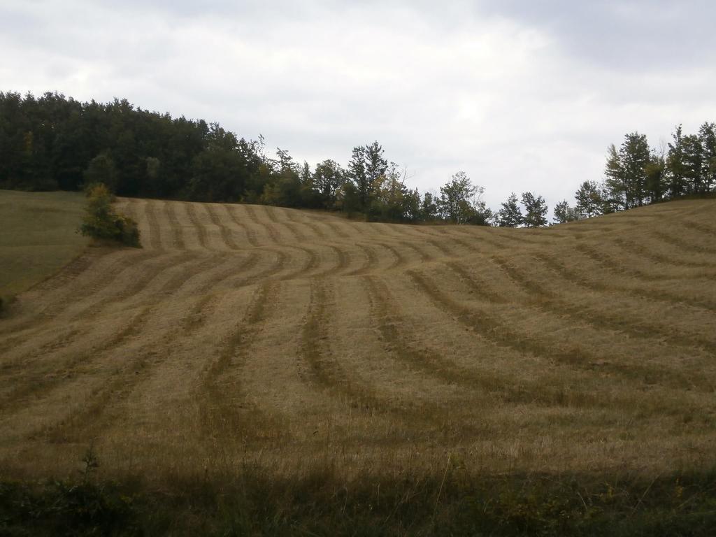 Società Agricola Cacigolara Borgo Val di Taro Exterior foto