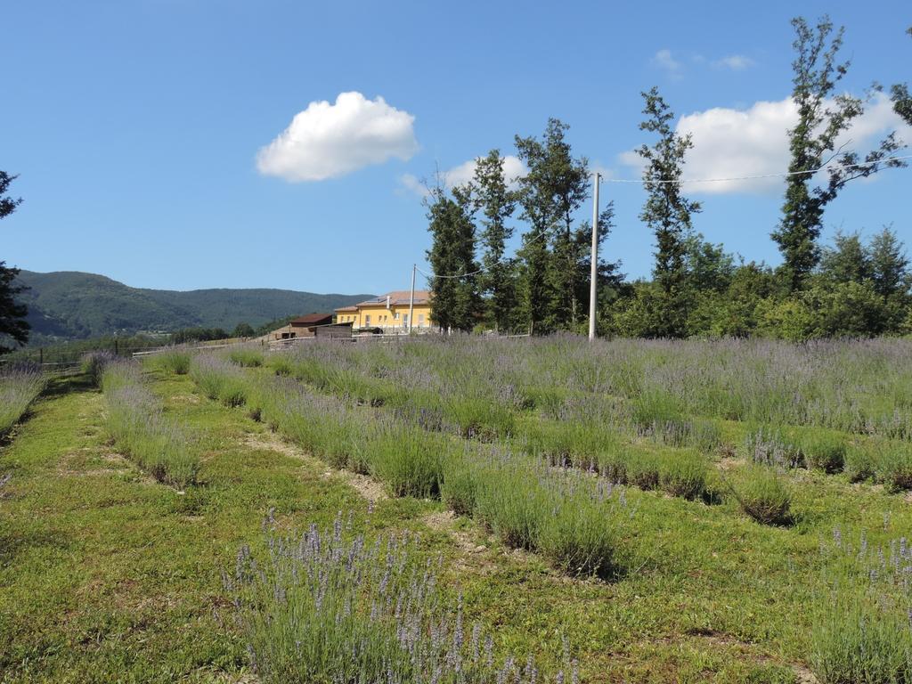 Società Agricola Cacigolara Borgo Val di Taro Exterior foto